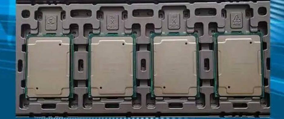 Intel(R) Xeon(R) Platinum 8175M CPU  2.50GHz, Intel Xeon Platinum 817