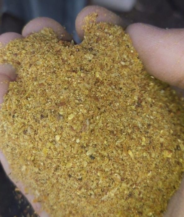 Прикормка для рыбалки