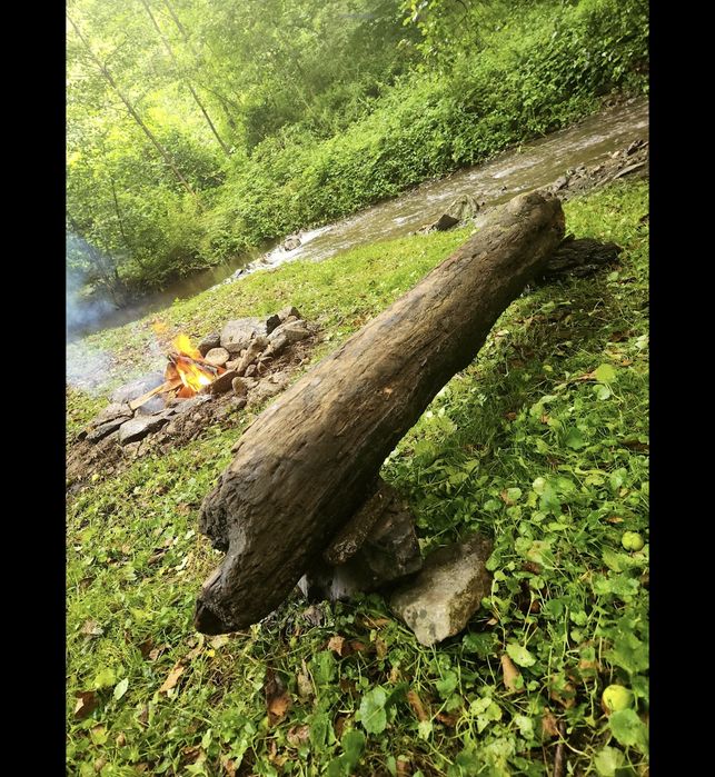 Teren intravilan 341 mp cu 2 containere – Pădurea Neagră