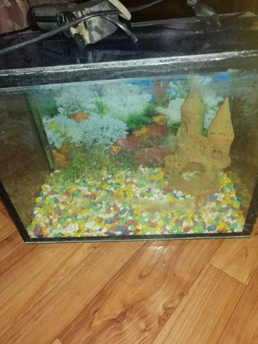 Продаётся аквариум б/у