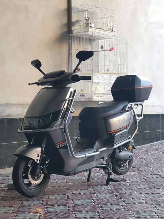 Cavalon eletro skutr