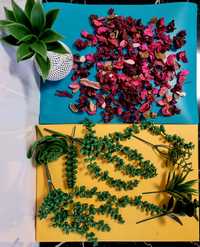 Set DECORATIUNI plante verzi va,a portelan petale roz deco mix