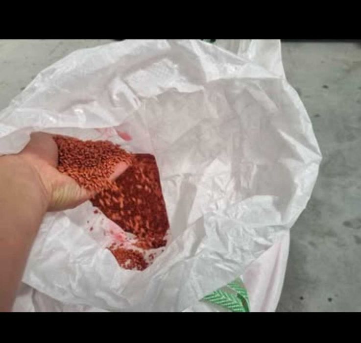 Samanta de grau C1 Glosa