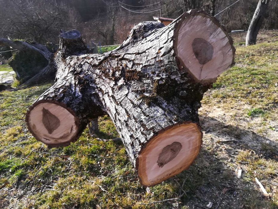 Дървен материал орех
