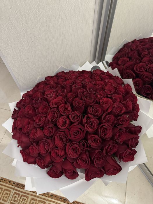 101 красная роза
