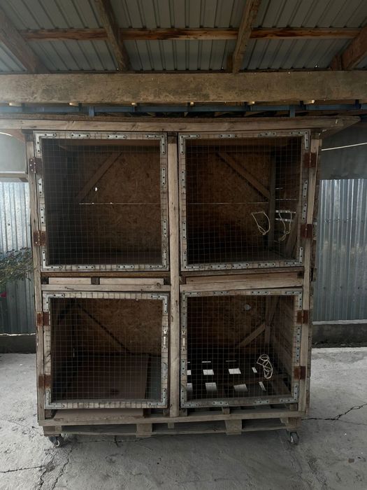 Продам клетку для даканов 4 в 1