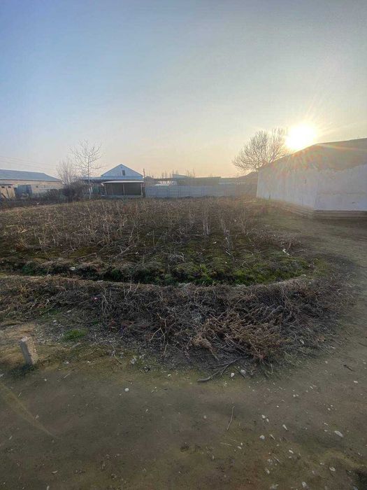 Куйи Чирчикда 20 соток ер майдони сотиляпти.