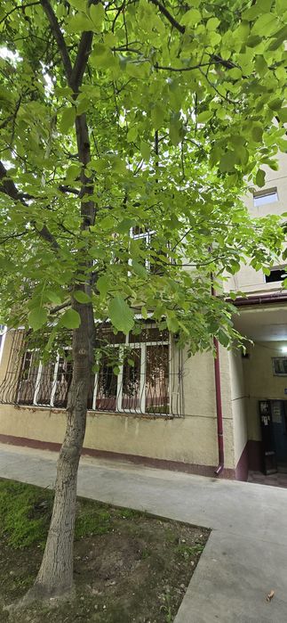 Сдаётся 3 комнатная 1 этаж Саттепо 45 конечно