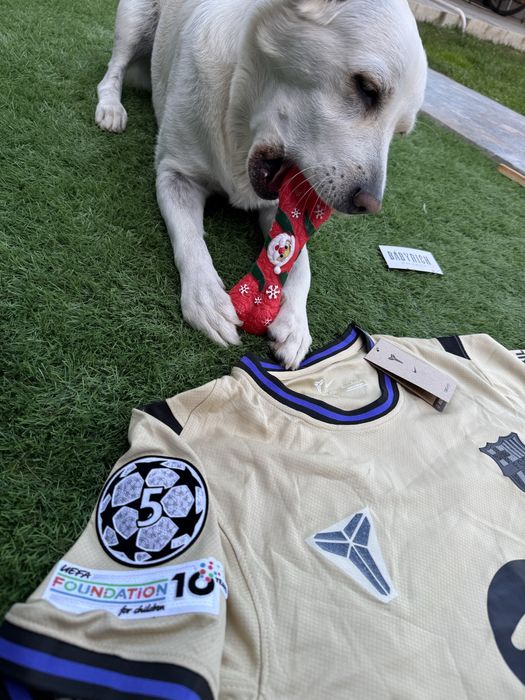 Tricouri Jersey Yamal/Raphinha Home/Away UCL/LaLiga 2025/2026 season