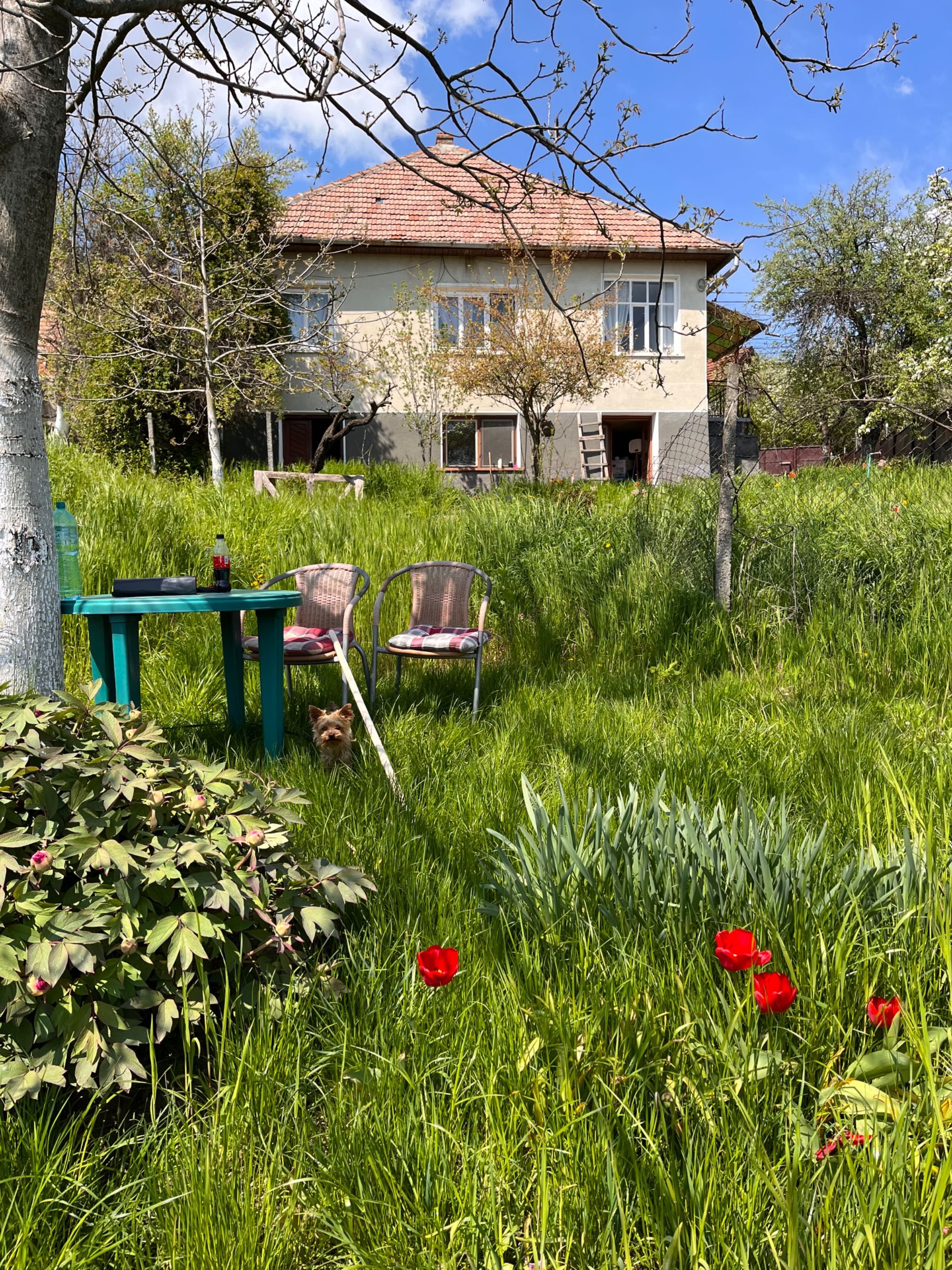 Casă de vânzare Şimleu Silvaniei