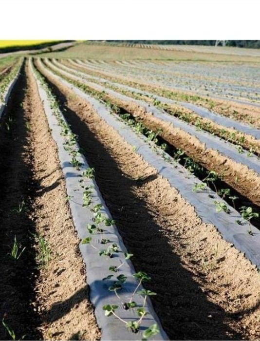 Агроволокно ишлаб чикарамиз