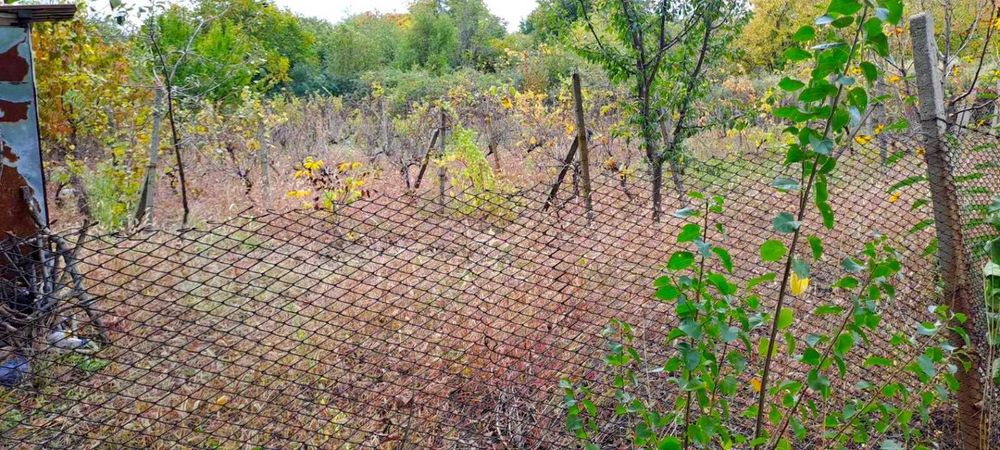 Продава се Парцел в Ямбол, Промишлена зона - 1000 кв.м за 7 €/кв.м - Снимка #6