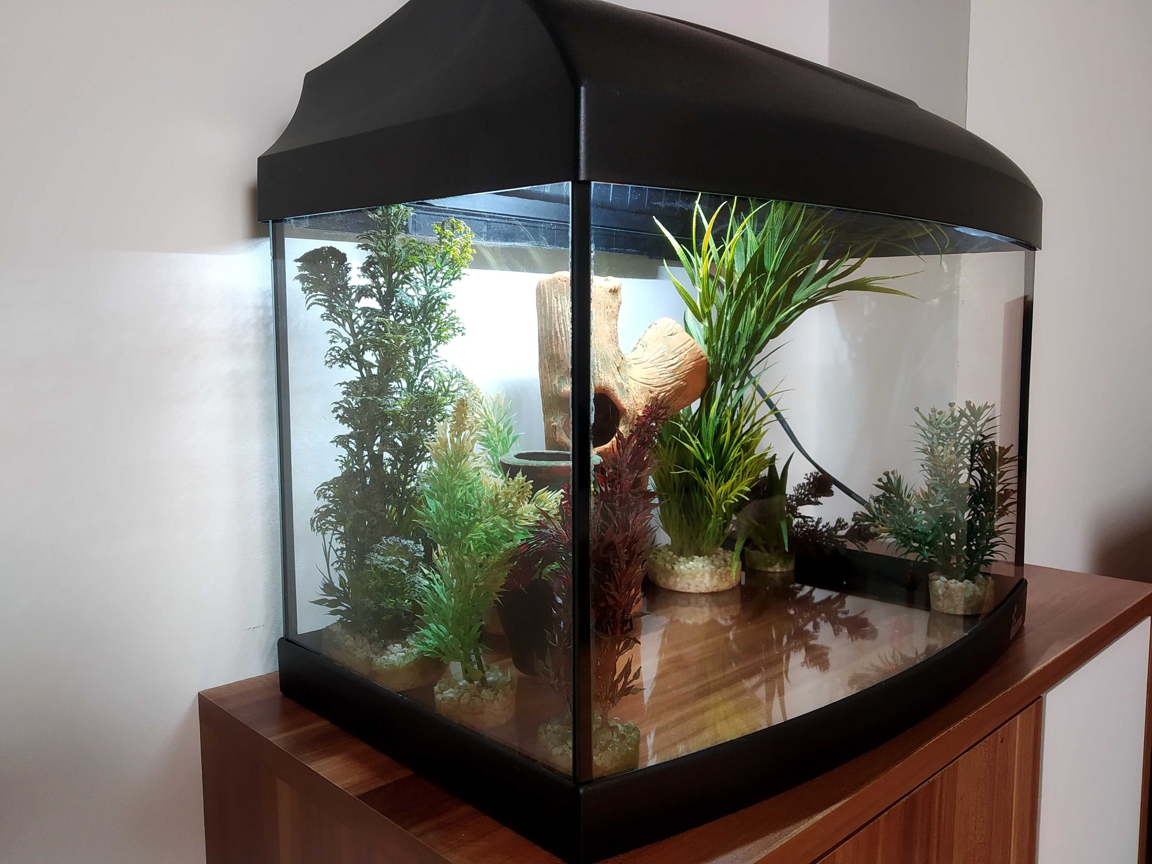 Аквариум Diversa Startup 40 Oval LED