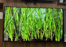 Телевизор Samsung Smart Tv 43 ли 40 дг