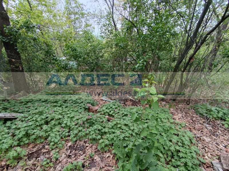 Продава се поземлен имот сред много зеленине в с. Царичина!