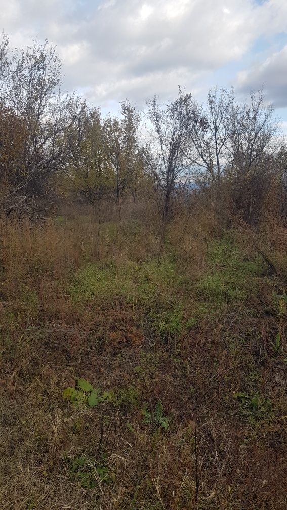 Продава парцел в с.Висока могила общ.Бобошево