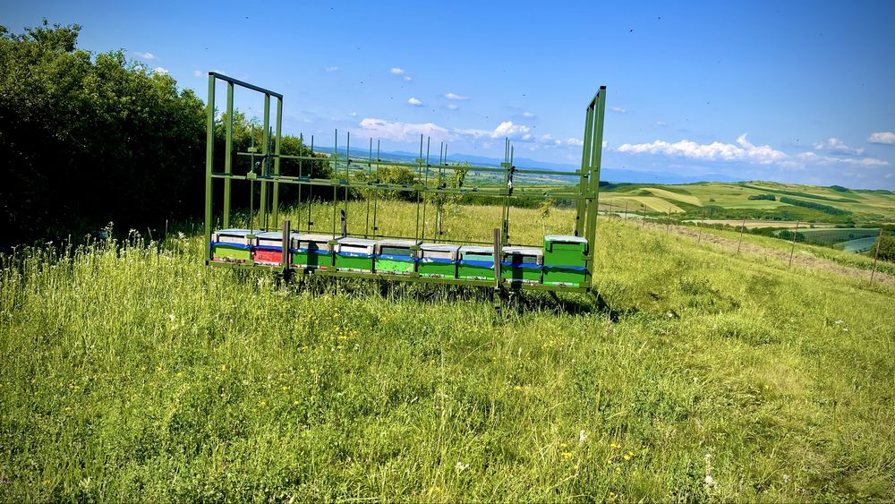 Container Apicol 36 fam.