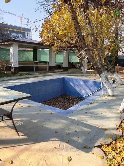 Kafe choyxona biznesi