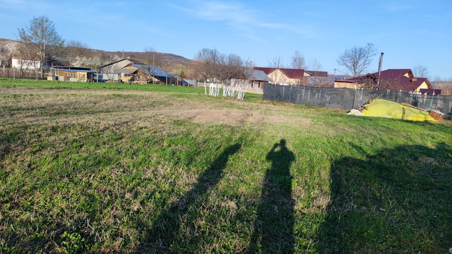 Teren Podenii Noi - Valea Dulce