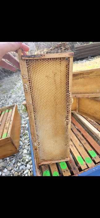 Vând rame 1/2 600 buc pret 8 lei/buc negociabil la toata cantitatea
Pr