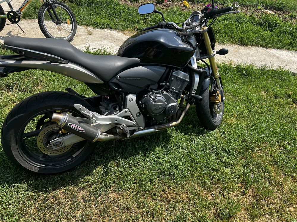 Honda Hornet PC 41