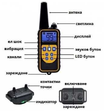 Обучителен нашийник за дресиране на куче