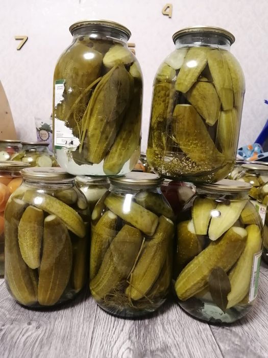 Огурцы солёные этого года