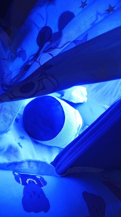 Сдам в аренду лампу 700тг