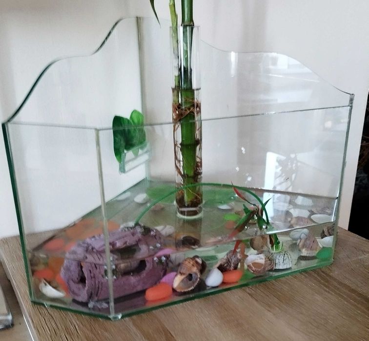 Терариум/аквариум здрав