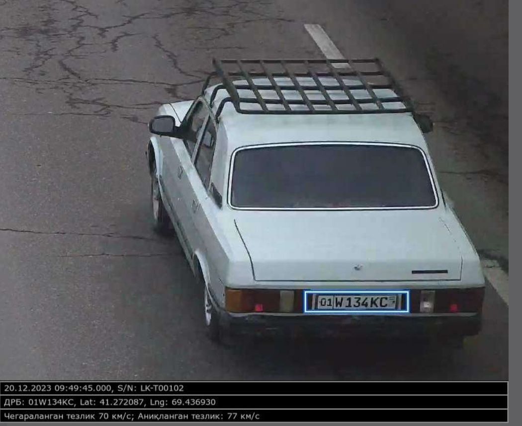 Volga 31029 gaz/benzin