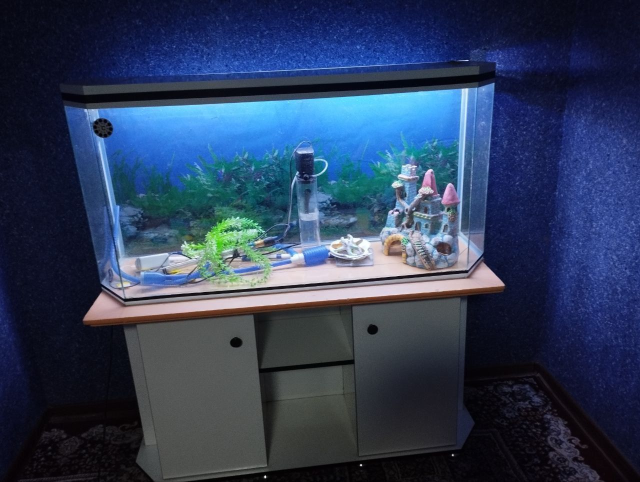 Akvarium sotiladi