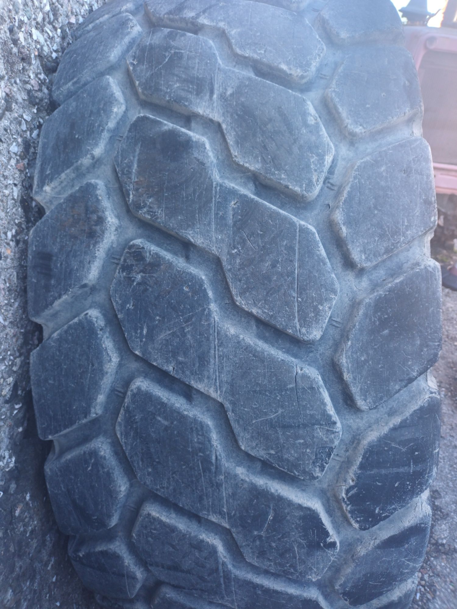Продавам гума за фадрома 23.5×25