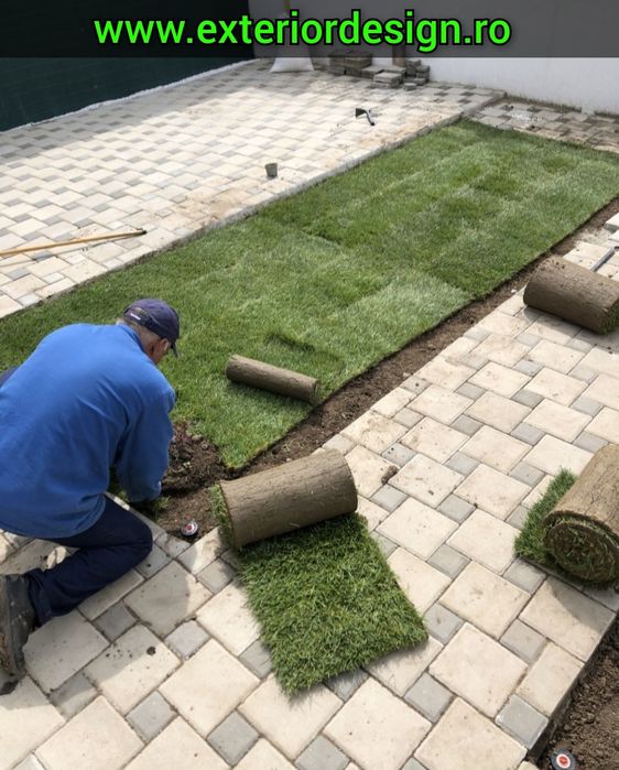 Gazon rulou Sport, Amnajam spații verzi gazon plante etc