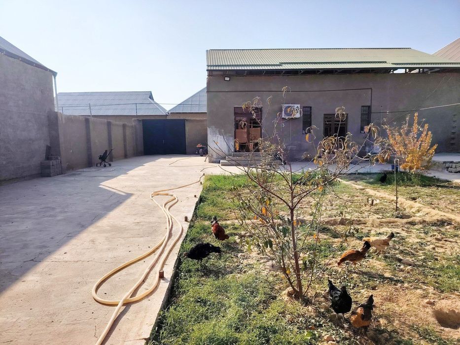 Yangibog MFY dan 6 sotixli xovli sotiladi