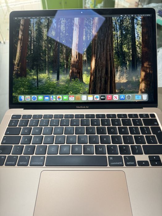 MacBook air M1 SSD