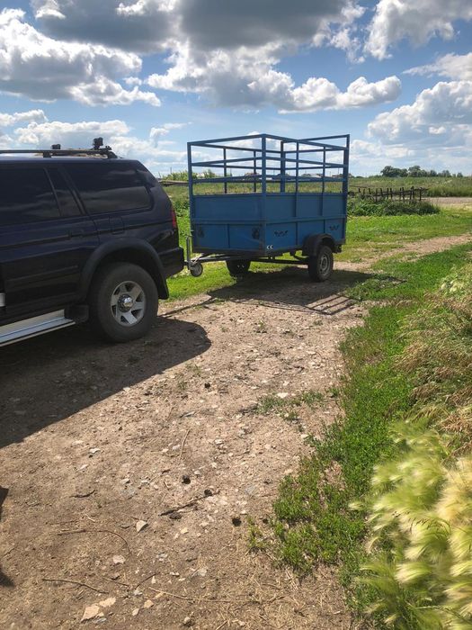 Перевозка скота лошадей,КРС,МРС.