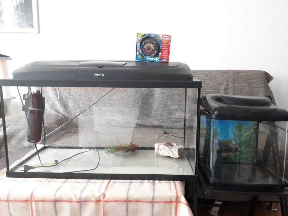 Acvariu AQUAEL 120 l , filtru intern, hranitor automat, acvariu 30l