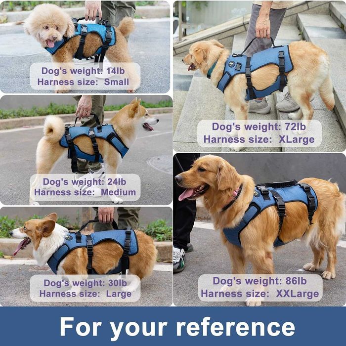 Dog lift harness