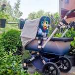 количка BUGABOO Cameleon 3 limited edition  + 2 коша MAXI COSY и база