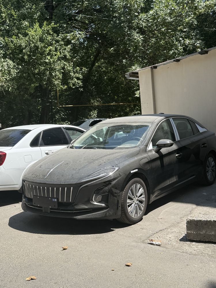 Hongqi eqm-5 500 talik