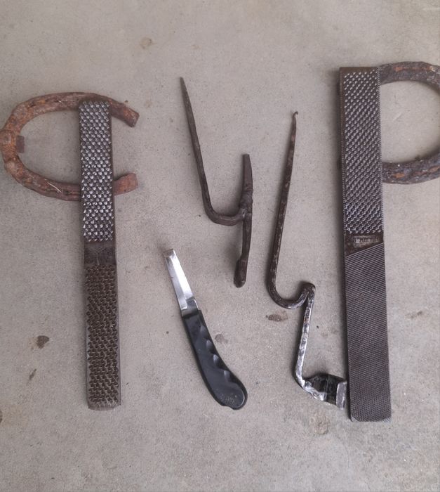 Scule / rașpel copite cai