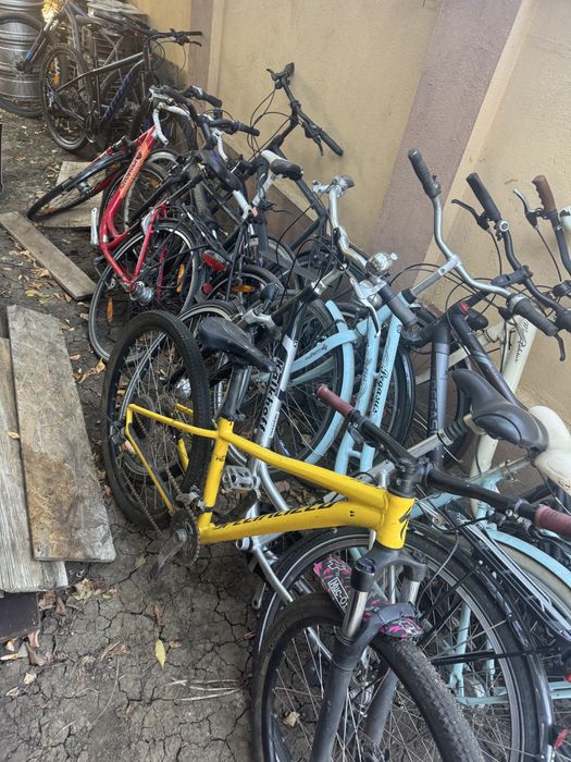 Vand Biciclete Mtb bulls Pegasus 27.5 29 28 Dama Barbatesti germany