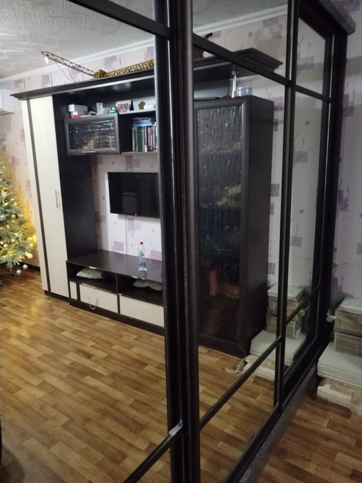 Шкаф-купе "Сенатор"