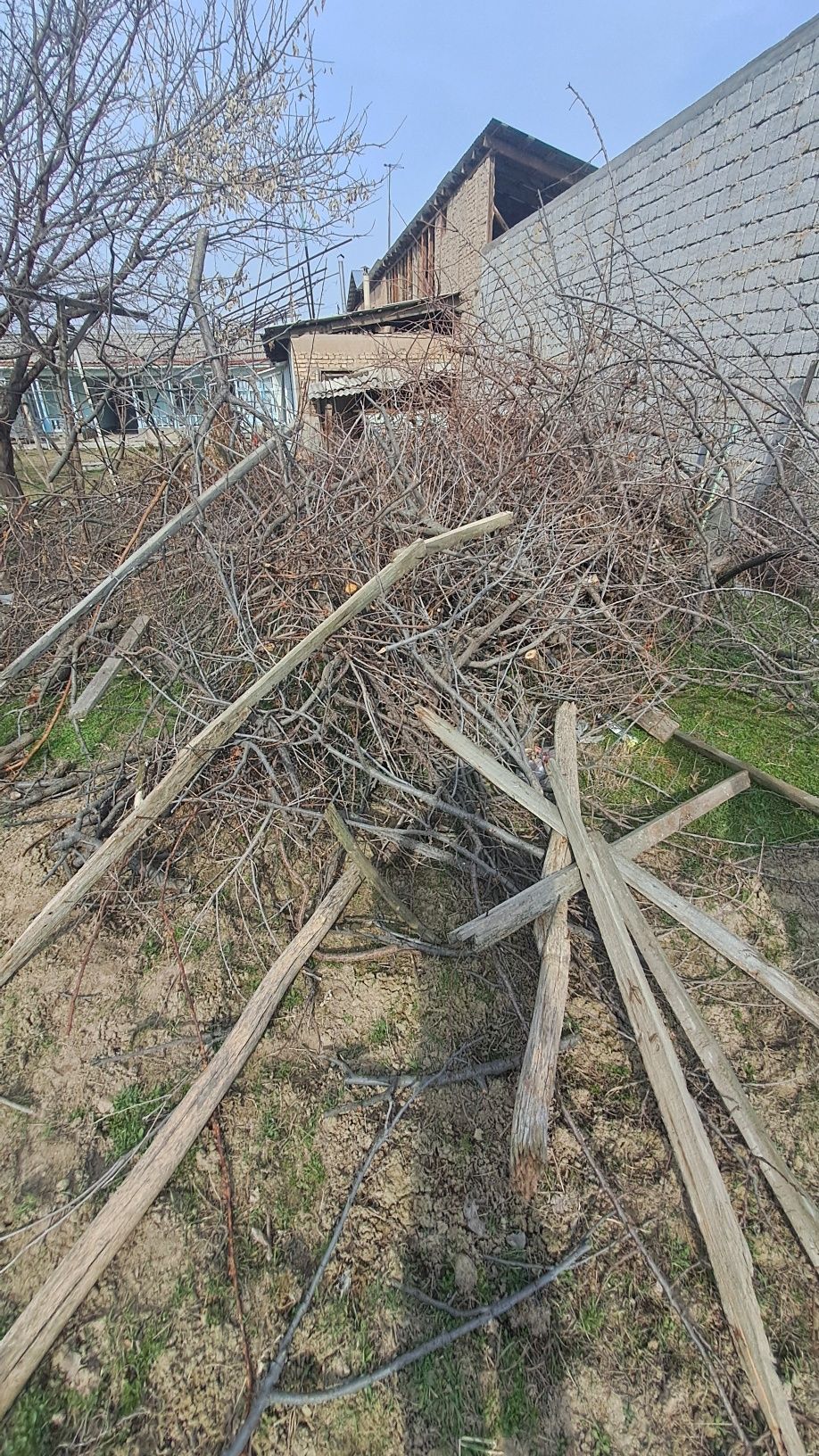 Quruq õtinlar sotuladi