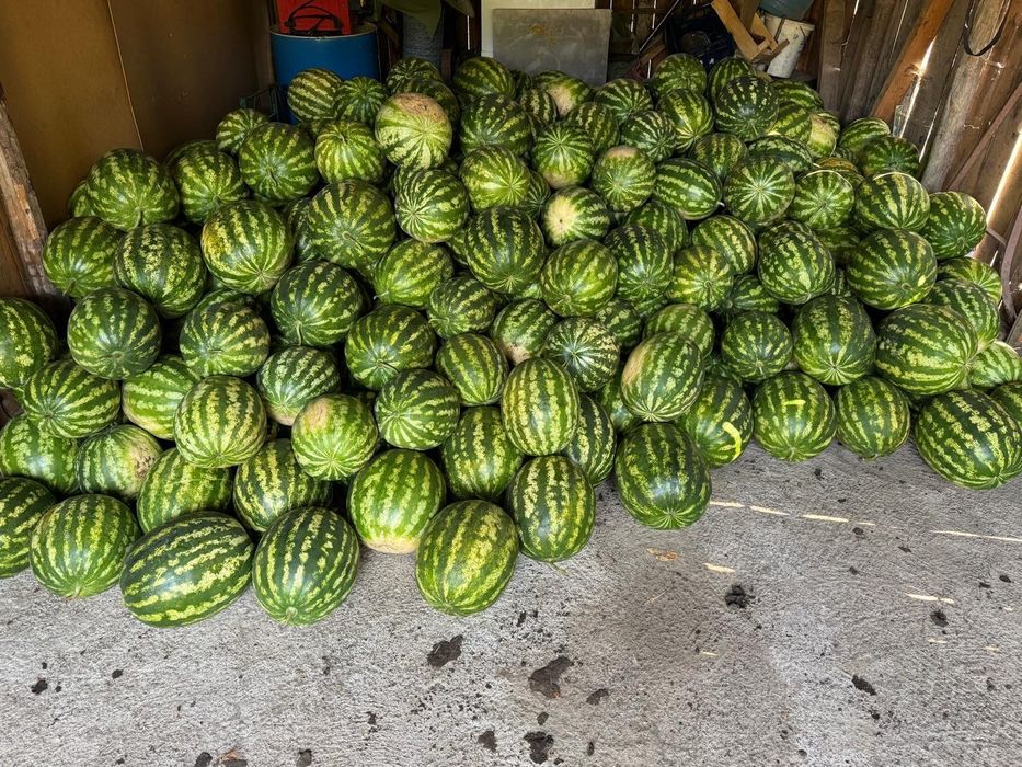 Pepene Verde (lebenită)
