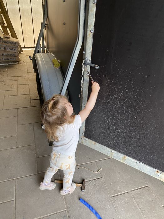 Remorca 2 cai animale transport