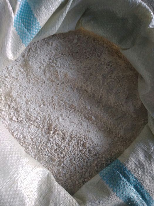 Ракушка кормовая