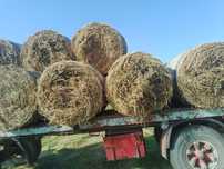 Baloti lucerna C1,C2 min40.Drept 500 sau fan.La TIR"RO UE Trans.inclus