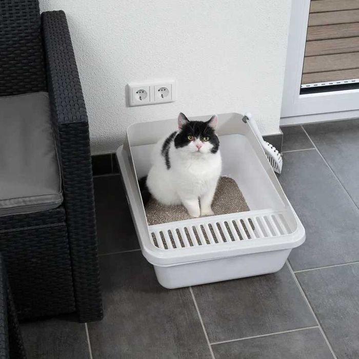 Открита котешка тоалетна