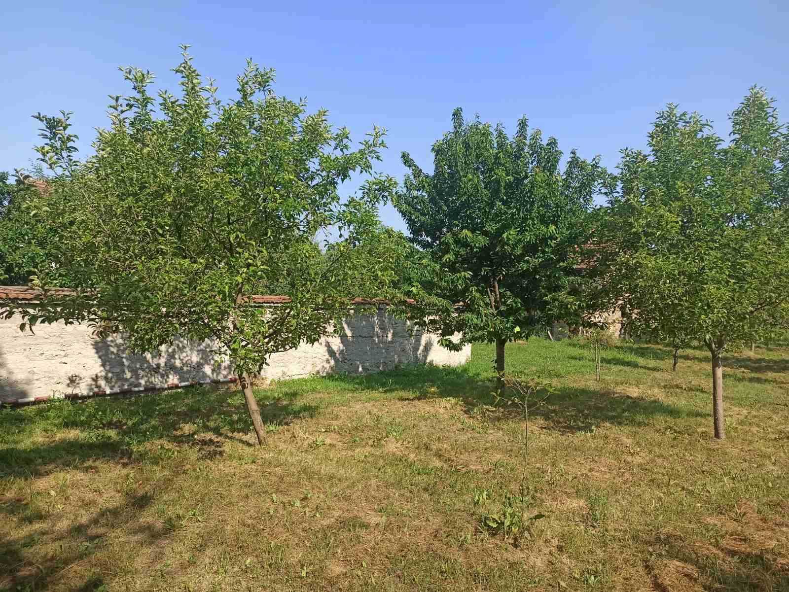 Къща 80 кв.м. с двор 1.2 дка в Софийска област